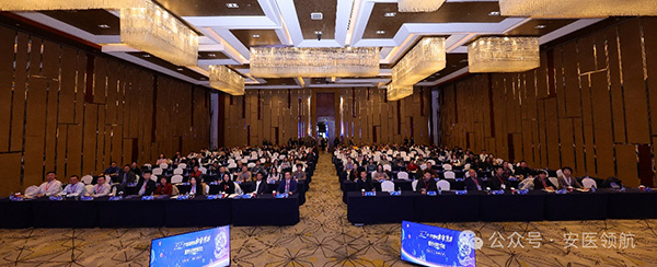 DM_20251212091637_001.jpg DM_20251212091637_001.jpg